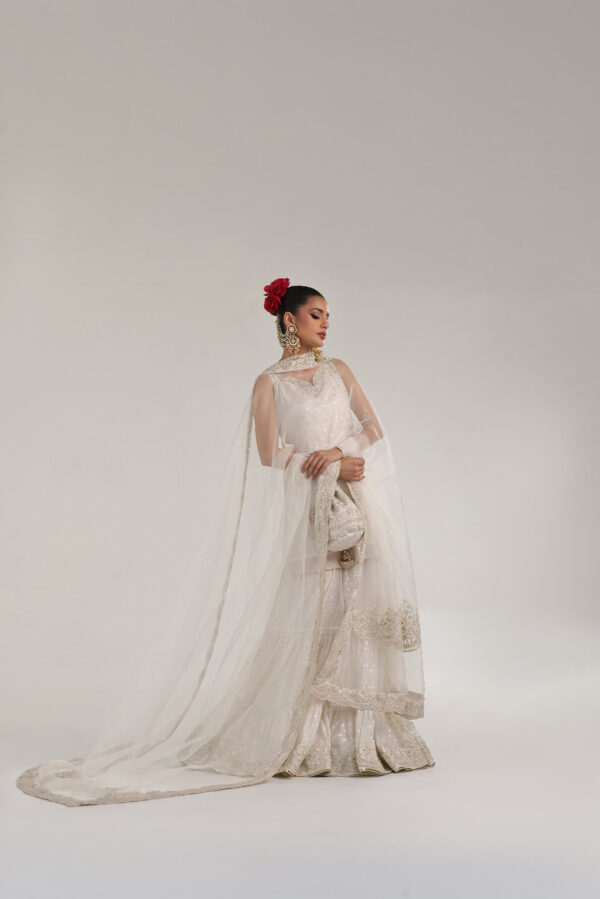 Swan – Off-white Gharara - Image 11