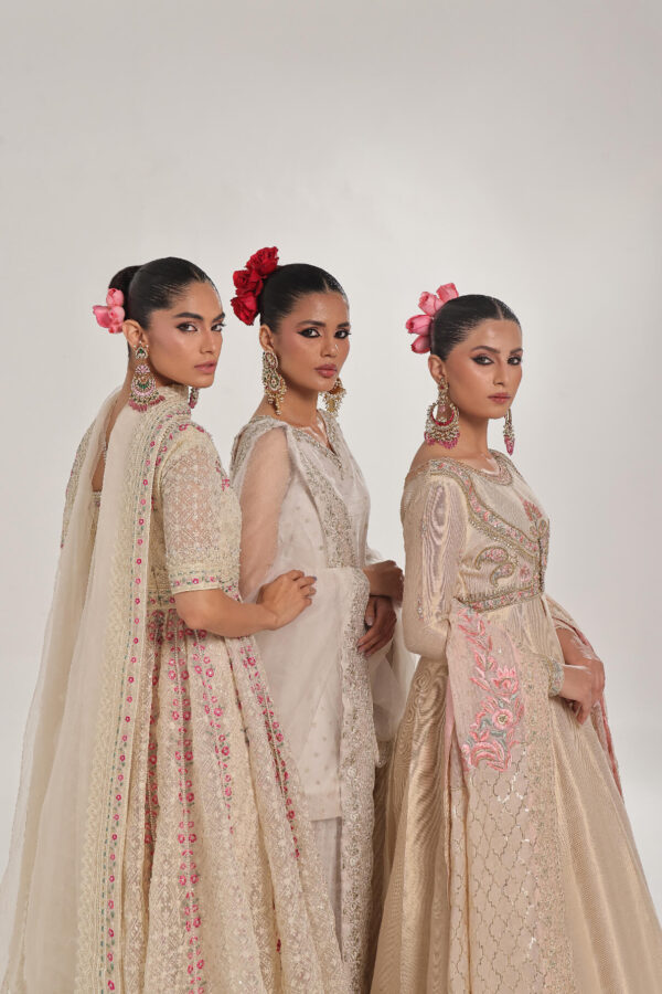 DOVE – Embroidered & embellished Kalidar - Image 9