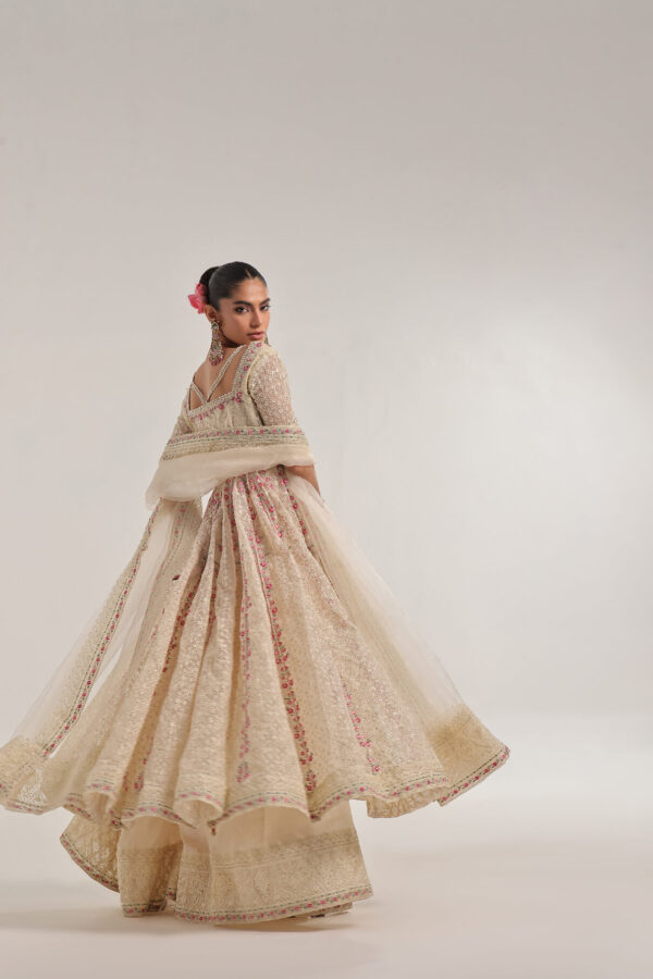 DOVE – Embroidered & embellished Kalidar - Image 2