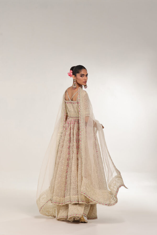 DOVE – Embroidered & embellished Kalidar - Image 6