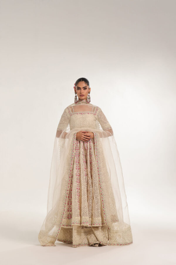 DOVE – Embroidered & embellished Kalidar - Image 5